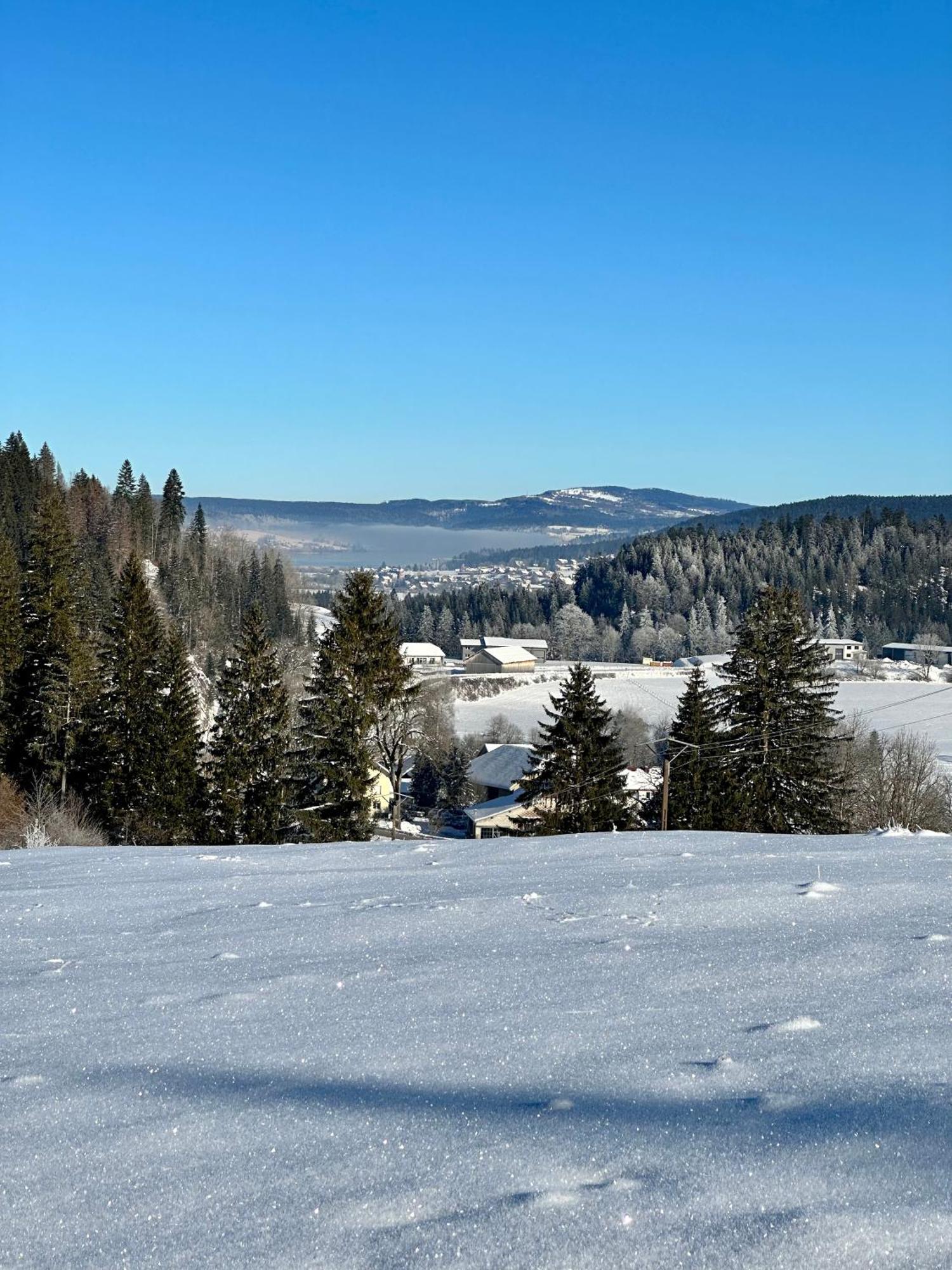 Le Belvedere Des Deux Lacs Le Brey et Maison du Bois Εξωτερικό φωτογραφία