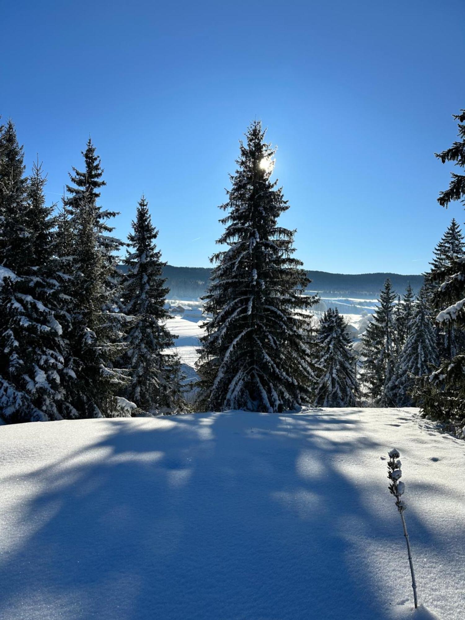 Le Belvedere Des Deux Lacs Le Brey et Maison du Bois Εξωτερικό φωτογραφία